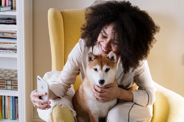 Cuidados essenciais para a saúde do seu pet