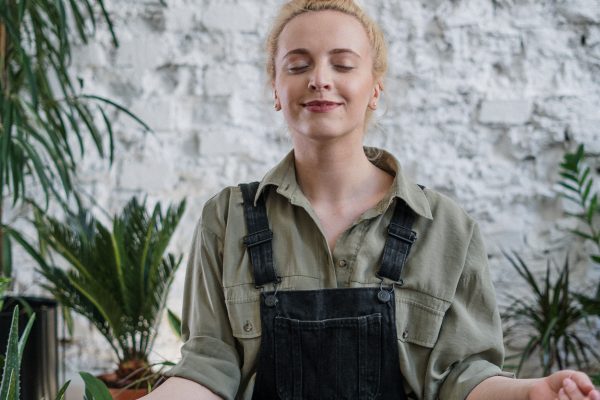 Como harmonizar os ambientes com o uso de plantas